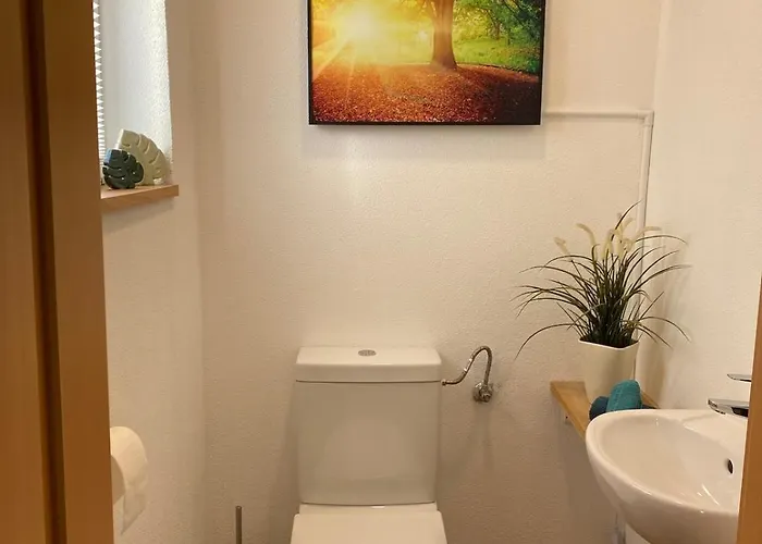 Zwischen Mosel Und Weinbergen Apartament Mehring (Rhineland-Palatinate)