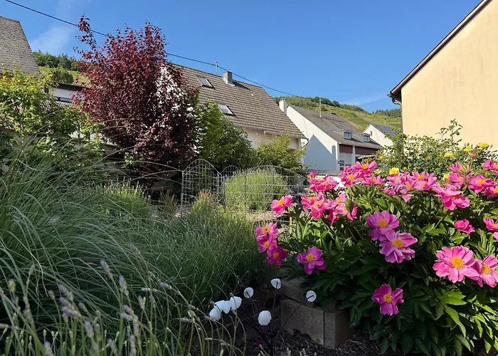 Apartament Zwischen Mosel Und Weinbergen